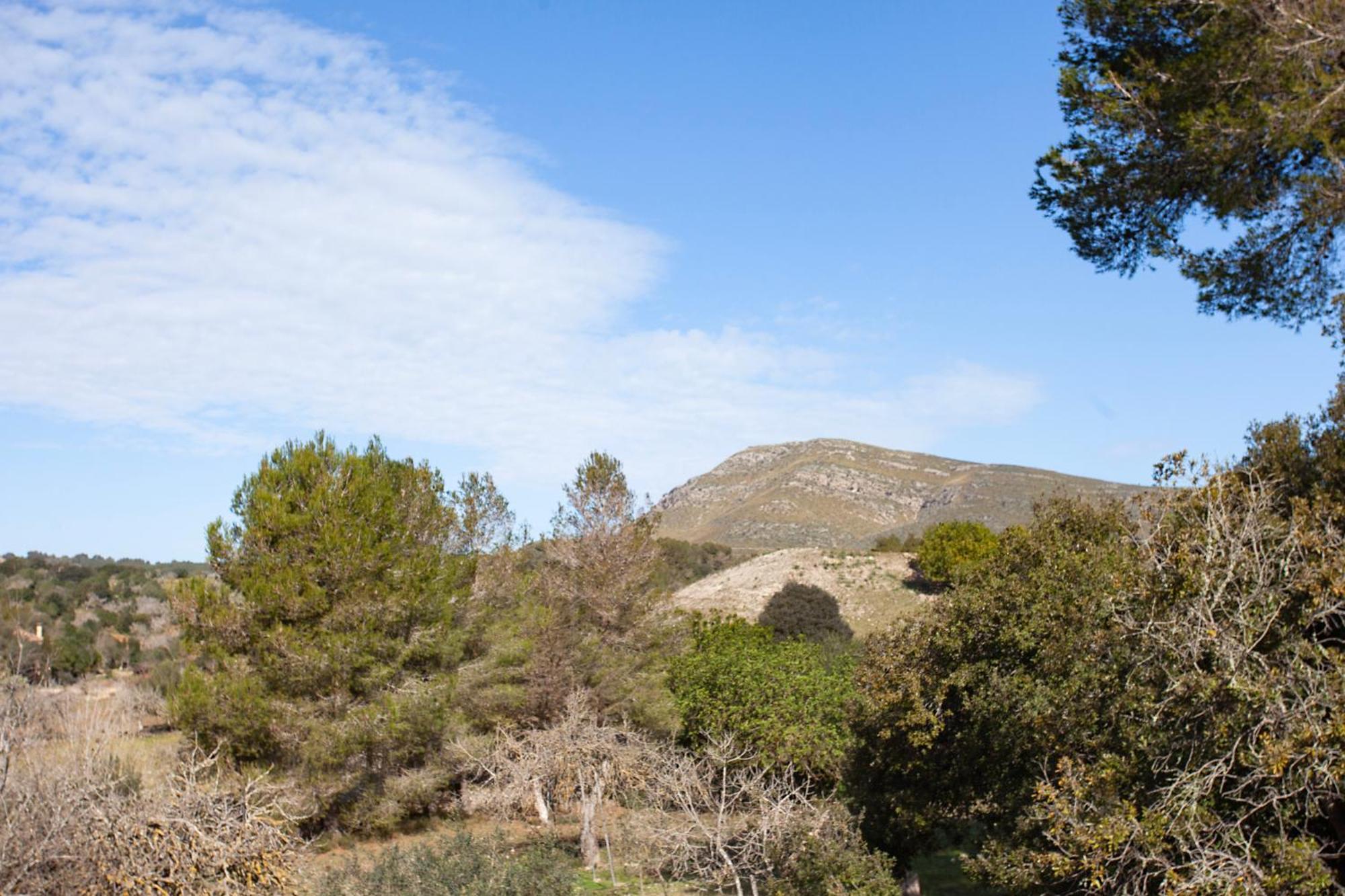S'hort De Sa Begura * Sant Llorenc Des Cardassar
